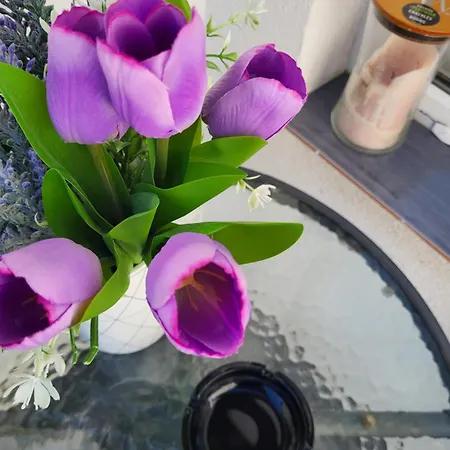 Πανσιόν Purple