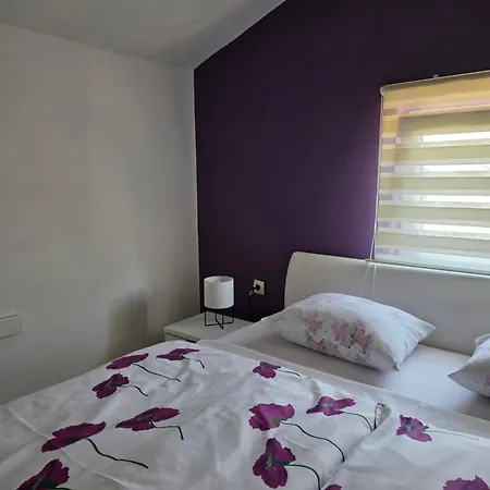 Purple Πανσιόν *